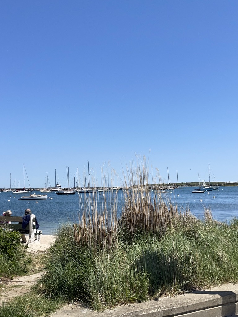 harbor at Vineyard Haven Martha's Vineyard