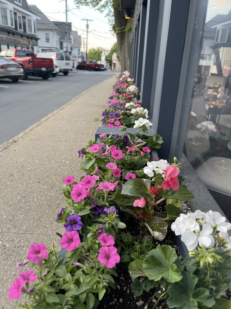 filled window boxes along the street in Vineyard Haven