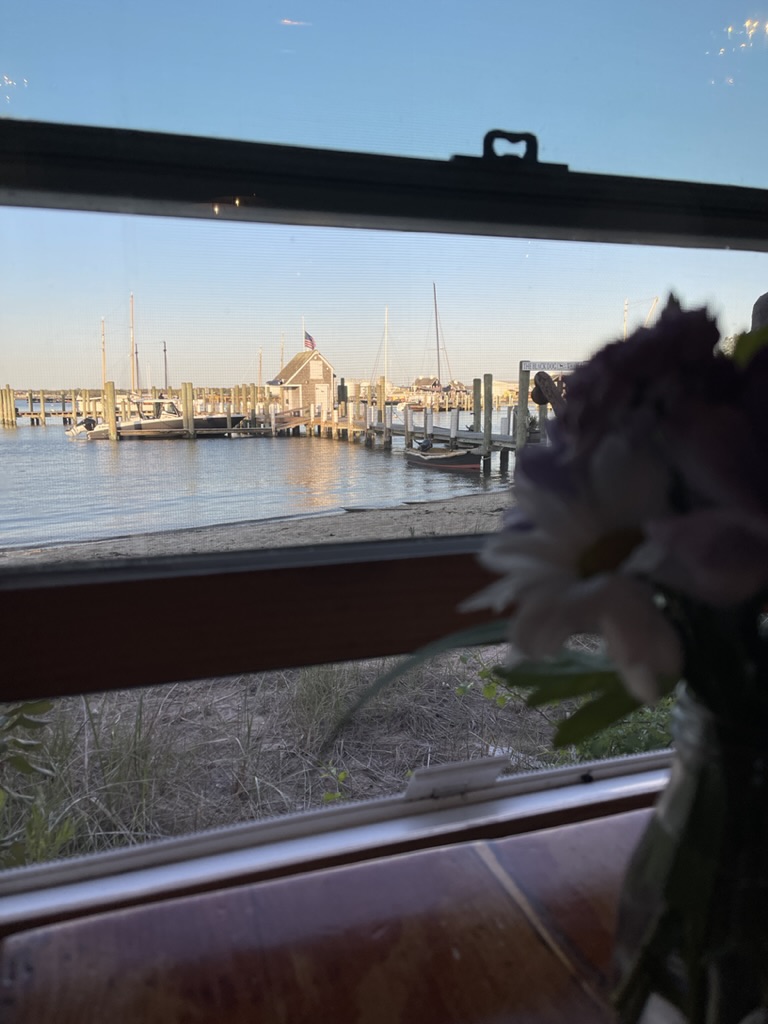 view from Black Dog Tavern on Martha's Vineyard window