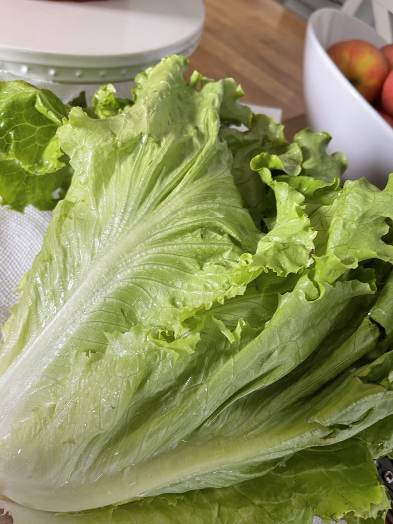 lettuce