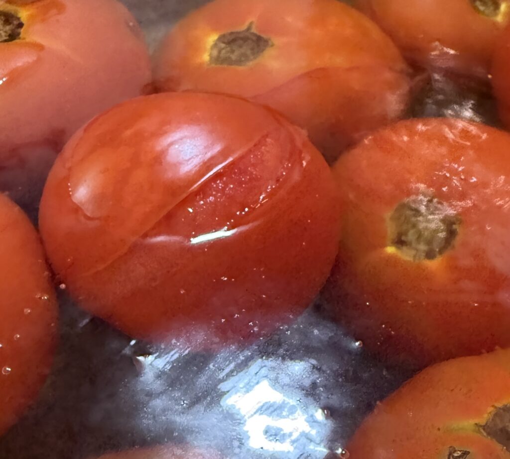 tomatoes boiled to release peeling