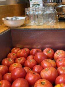 washing tomatoes for canning diced tomatoes