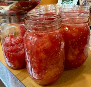 filling diced tomatoes into canning jars