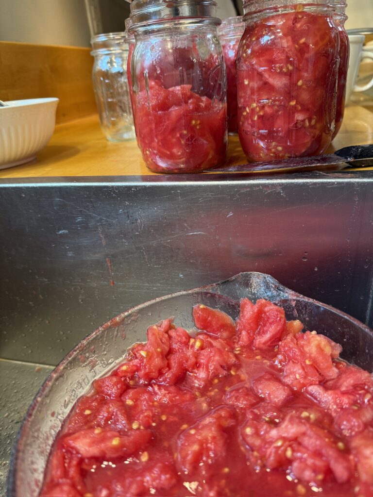 filling jars with diced tomatoes