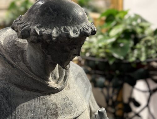 St. Francis close up with plant