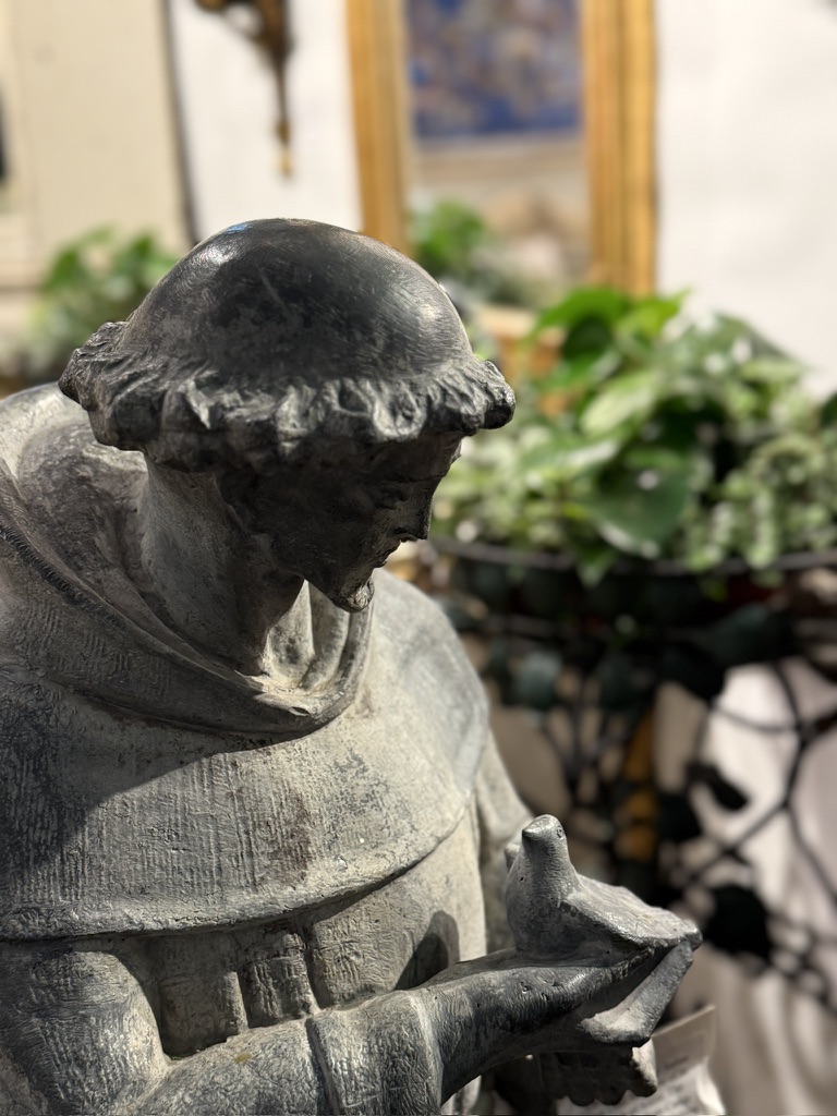 St. Francis close up with plant