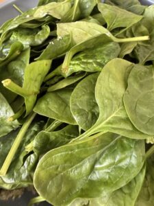 spinach added to Salmon Wellington filling