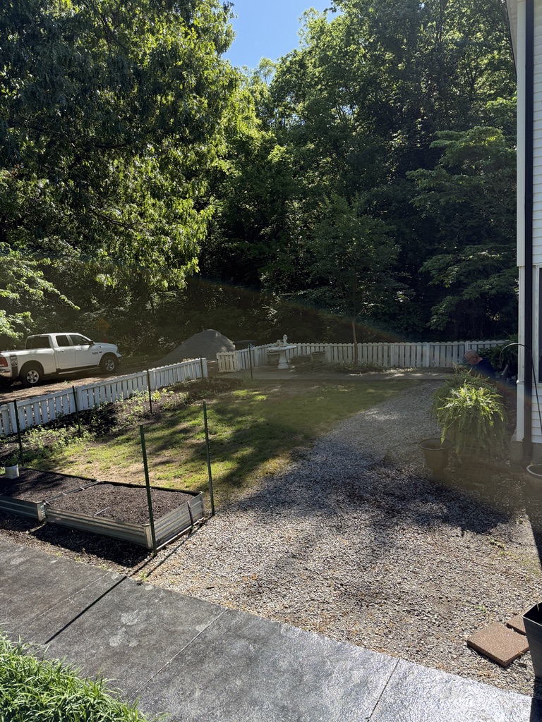 backyard photo