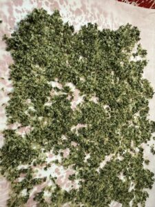 basil salt on parchment paper lined baking sheet