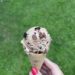 Chocolate Peanut Butter Ice Cream in Cone