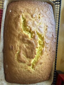 orange blender loaf cake cooling in pan